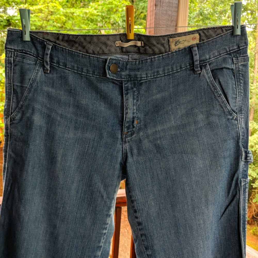 GAP Limited Edition Jeans Women 12R